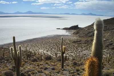 Salar d'Uyuni, Bolivie