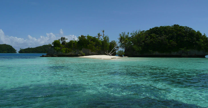 Les nouveaux paradis